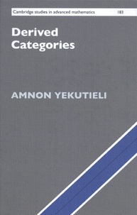 Amnon Yekutieli - Derived Categories.