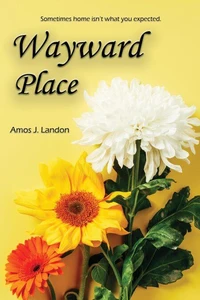 Wayward Place