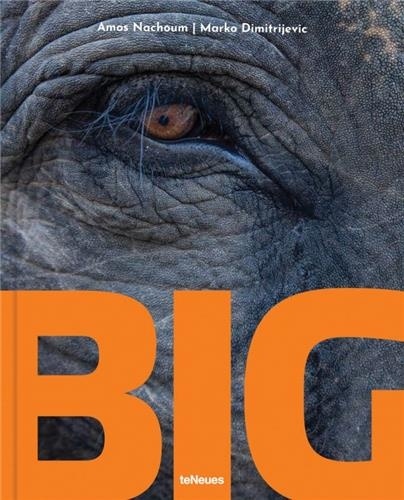 Amos Nachoum et Marko Dimitrijevic - Big - A Photographic Album of the World's Largest Animals.