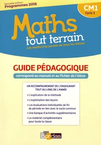 Maths tout terrain CM1