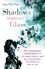 Shadows Bright As Glass. The Extraordinary Transformation of One Man's Brain - and the Neuroscience that Makes Us Who We Are
