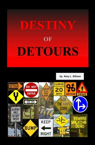  Amy L. Allison - Destiny of Detours.