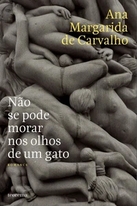 Não Se Pode Morar nos Olhos de Um Gato