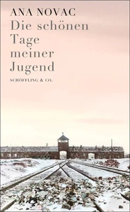 Die schönen Tage meiner Jugend