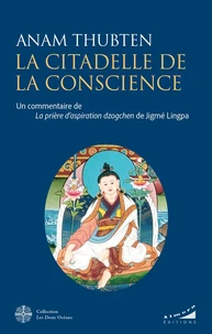 La citadelle de la conscience