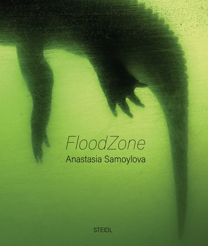 Anastasia Samoylova - Floodzone.