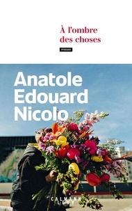 Livres anglais téléchargement pdf A l'ombre des choses iBook FB2 PDF par Anatole Edouard Nicolo 9782702191521