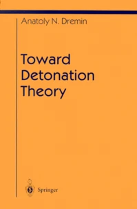 TOWARD DETONATION THEORY