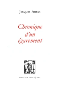 Chronique d'un égarement