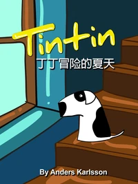 丁丁冒险的夏天
