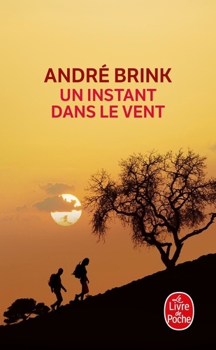 André Brink - Un Instant dans le vent.