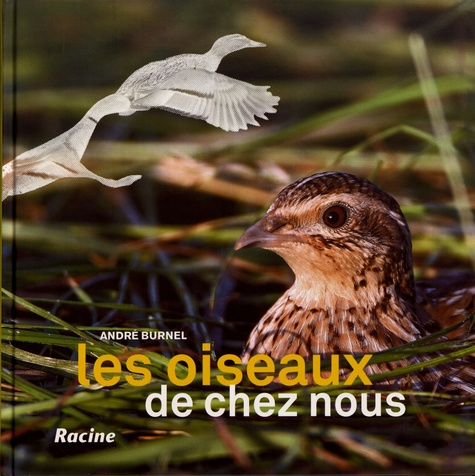 Les oiseaux de chez nous  édition revue et augmentée