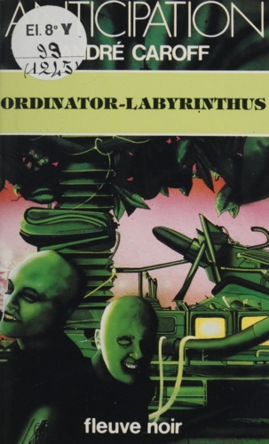 Ordinator-labyrinthus
