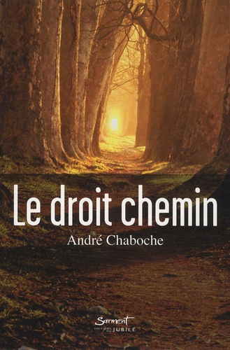André Chaboche - Le droit chemin.