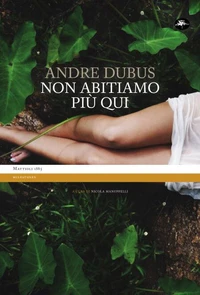 Non abitiamo più qui