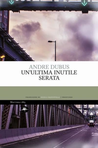 Un'ultima inutile serata
