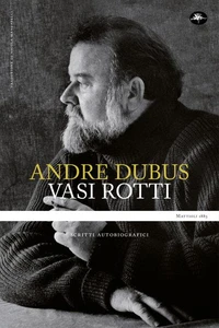 Vasi rotti