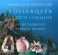 André Exbrayat et Mathilde Brassy - Mollusques du récif corallien.