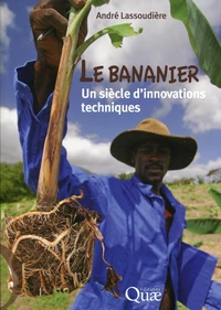 Le bananier