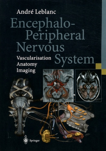 Encephalo-Peripheral Nervous System. Vascularisation Anatomy Imaging
