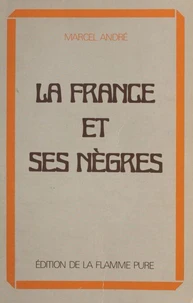 La France et ses nègres