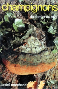 André Marchand - Champignons Du Nord Et Du Midi. Tome 4, Aphyllophorales, Hydnaceae, Gasteromycetes, Ascomycetes.