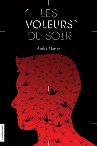 Les voleurs v 03 les voleurs du soir