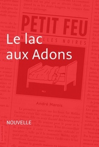 André Marois - Petit feu - Le lac aux Adons.