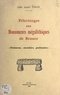 André Nouel - Pélerinages aux monuments mégalithiques de Beauce - Dolmens, menhirs, polissoirs.