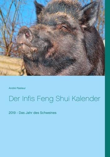 Der Infis Feng Shui Kalender. 2019 - Das Jahr des Schweines