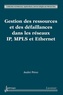 André Pérez - Gestion des ressources et des défaillances dans les réseaux IP, MPLS et Ethernet.