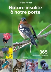 Nature insolite à notre porte