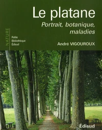 Le platane