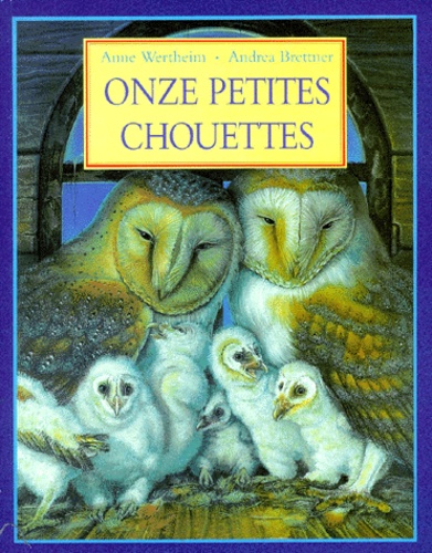 Andrea Brettner et Anne Wertheim - Onze petites chouettes.