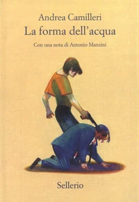La forma dell'acqua