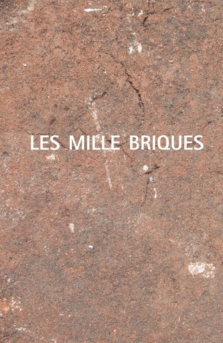 Andréa Eichenberger et Isabelle Marseille - Les mille briques.