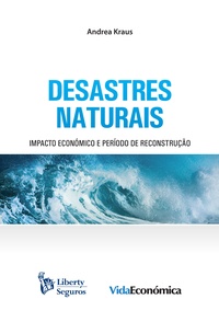 Andrea Kraus - Desastres Naturais - Impacto económico e período de reconstrução.