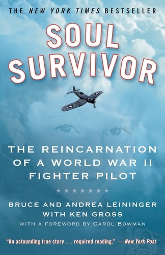 Soul Survivor. The Reincarnation of a World War II Fighter Pilot