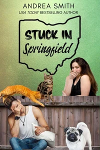 Stuck in Springfield