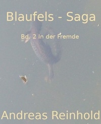 Andreas Reinhold - Blaufels - Saga - Bd. 2 In der Fremde.