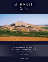 Die chalkolithische Siedlung von Giricano am Oberen Tigris