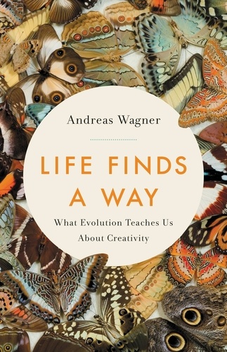 Life Finds a Way. What Evolution Teaches Us About Creativity