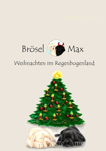 Brösel &amp; Max. Weihnachten im Regenbogenland
