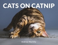 Andrew Marttila - Cats on Catnip.