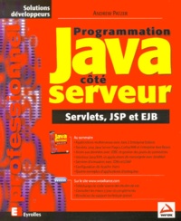 Andrew Patzer - Programmation Java Cote Serveur. Servlets, Jsp Et Ejb.