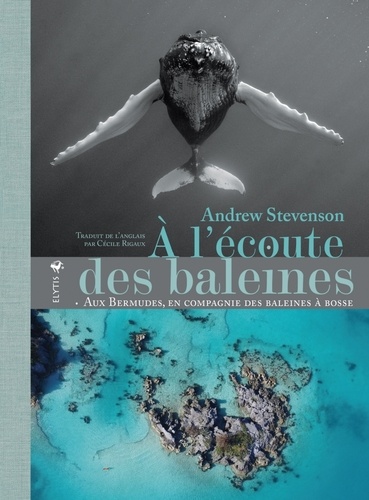 Andrew Stevenson - A l'écoute des baleines - Aux Bermudes, en compagnie des baleines à bosse.
