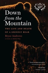 Down From The Mountain