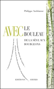 Avec le bouleau