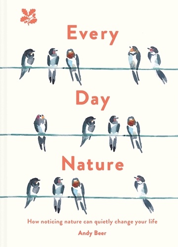 Andy Beer - Every Day Nature - How noticing nature can quietly change your life.