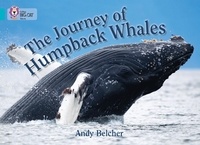 Andy Belcher - The Journey of Humpback Whales - Band 07/Turquoise.